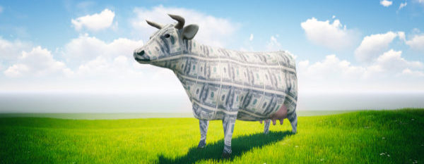 Guest Vlogger, Russ Laggan Asks: Are You Milking the Cow or Creating a Cash Cow?